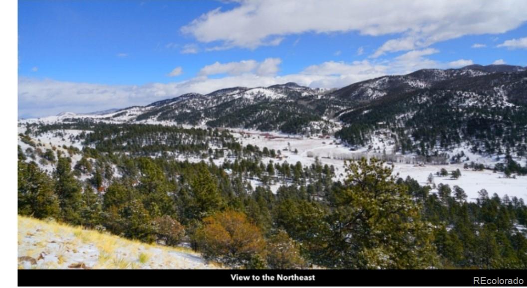 796 N Matterhorn Circle Westcliffe CO 81252