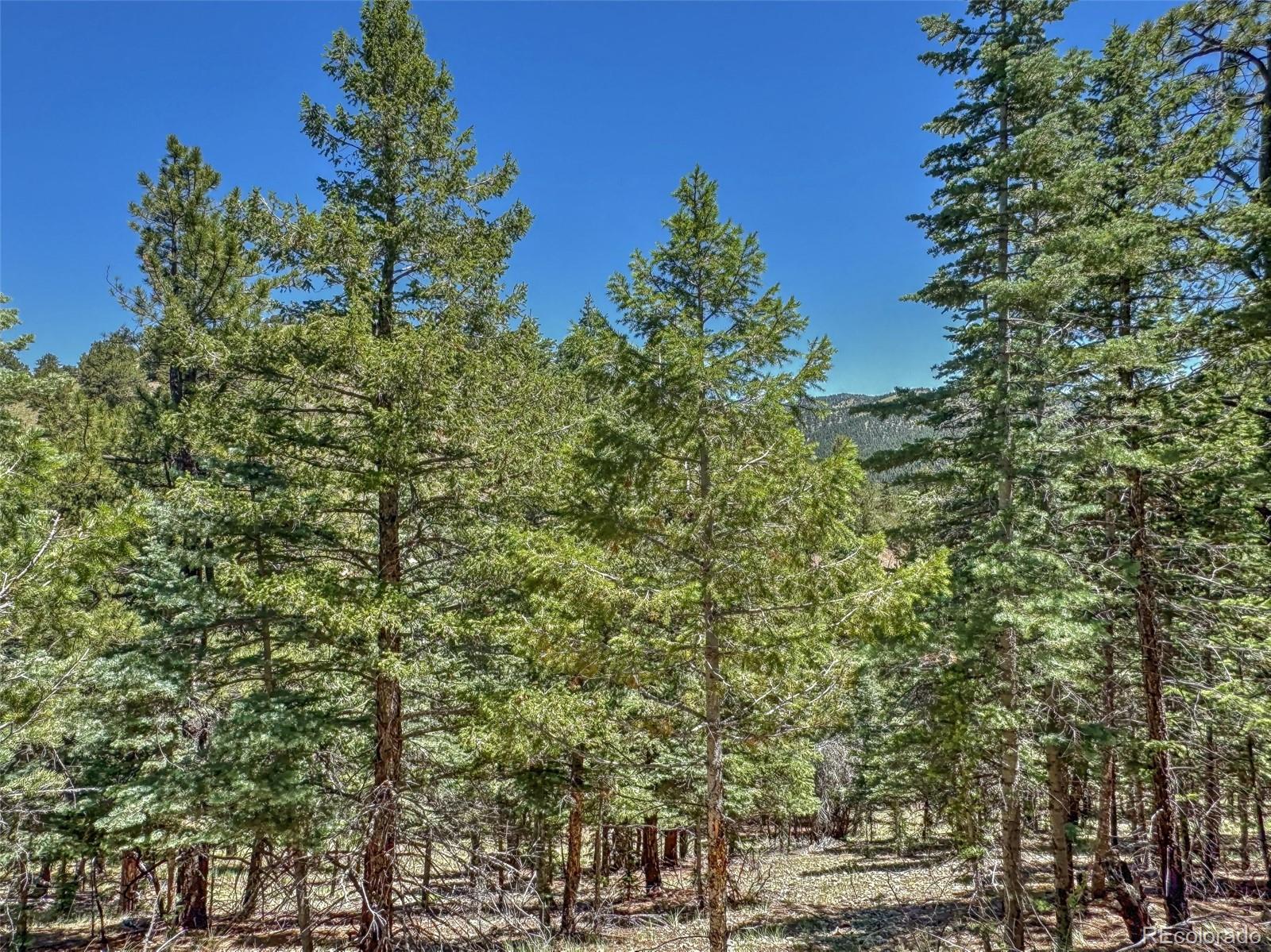 796 N Matterhorn Circle Westcliffe CO 81252