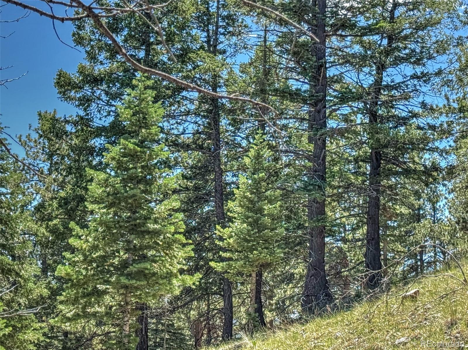 796 N Matterhorn Circle Westcliffe CO 81252