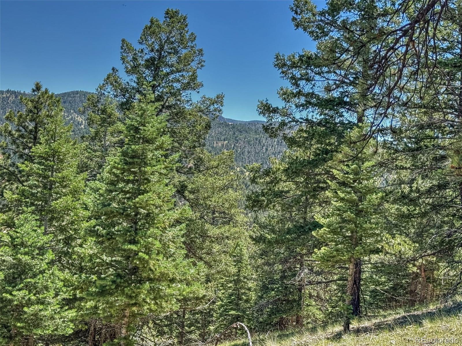 796 N Matterhorn Circle Westcliffe CO 81252