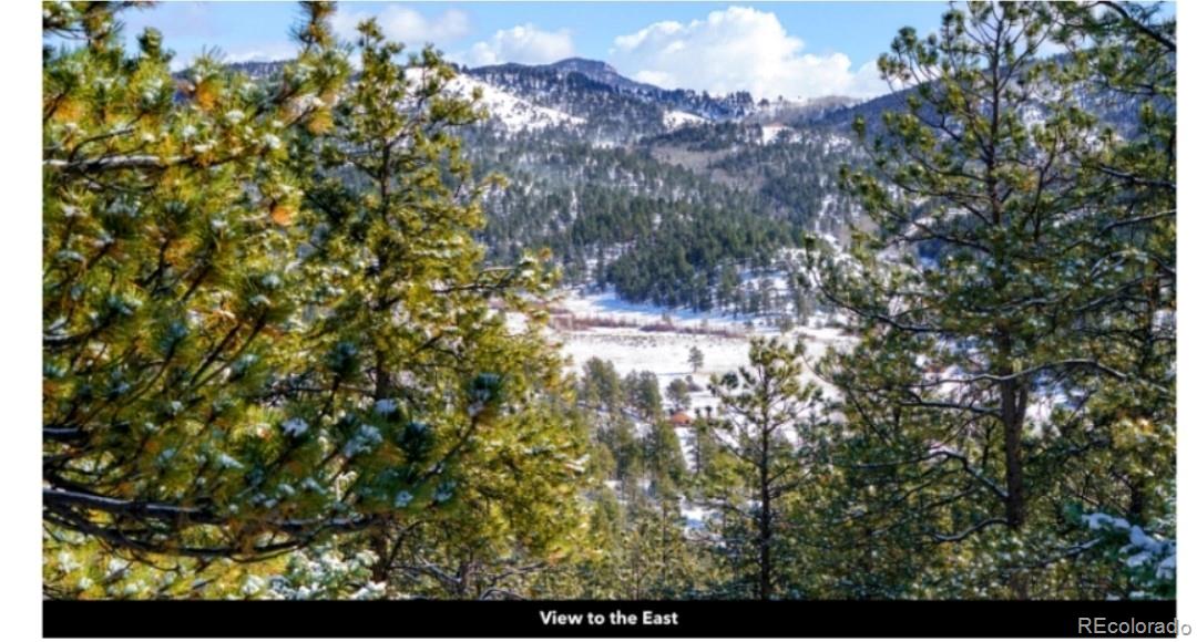 796 N Matterhorn Circle Westcliffe CO 81252
