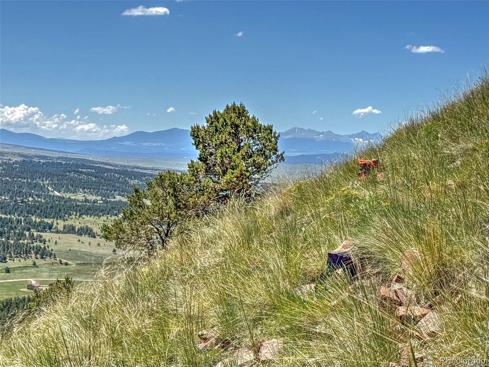 796 N Matterhorn Circle Westcliffe CO 81252