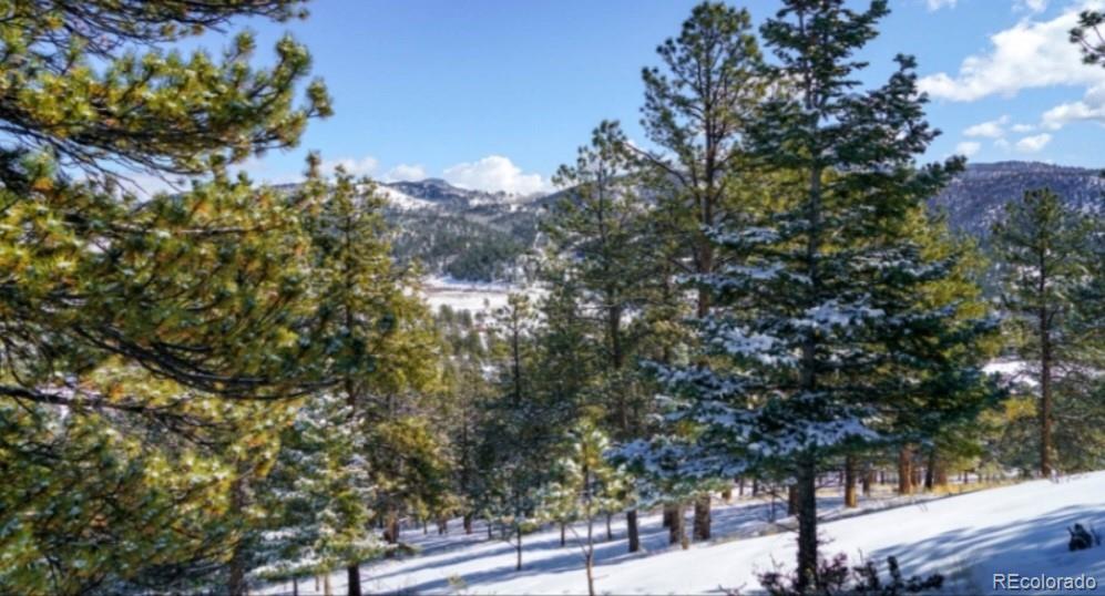 796 N Matterhorn Circle Westcliffe CO 81252