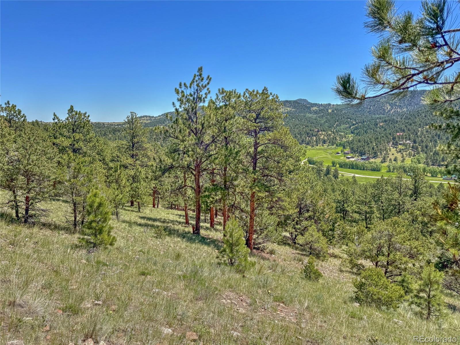 796 N Matterhorn Circle Westcliffe CO 81252