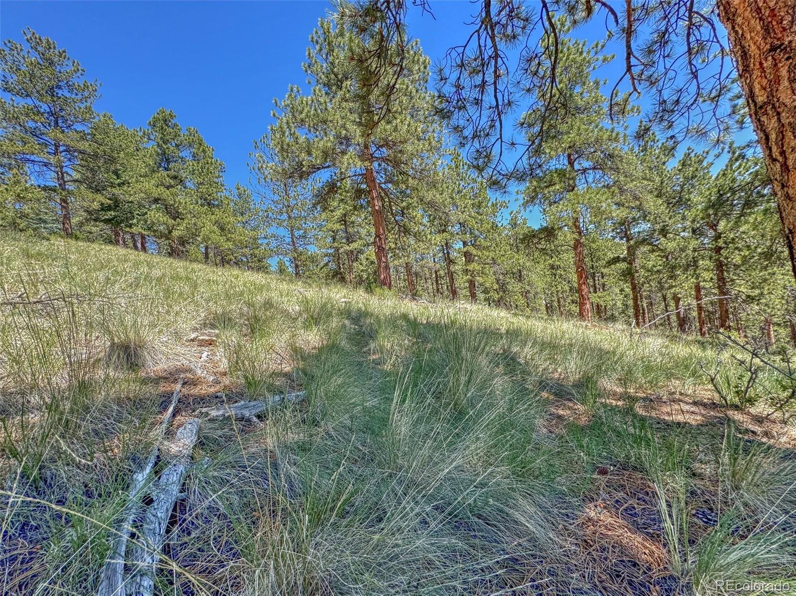 796 N Matterhorn Circle Westcliffe CO 81252