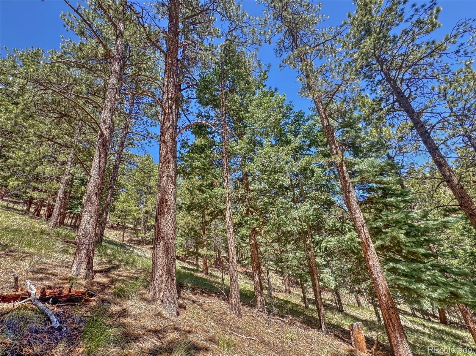 796 N Matterhorn Circle Westcliffe CO 81252