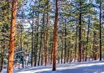 796 N Matterhorn Circle Westcliffe CO 81252
