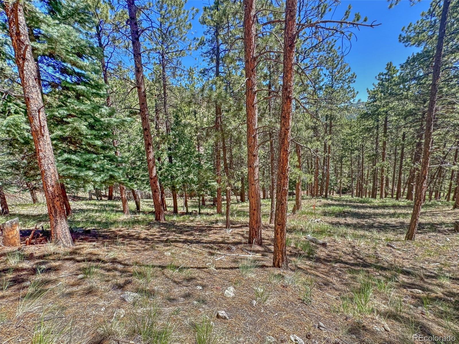 796 N Matterhorn Circle Westcliffe CO 81252