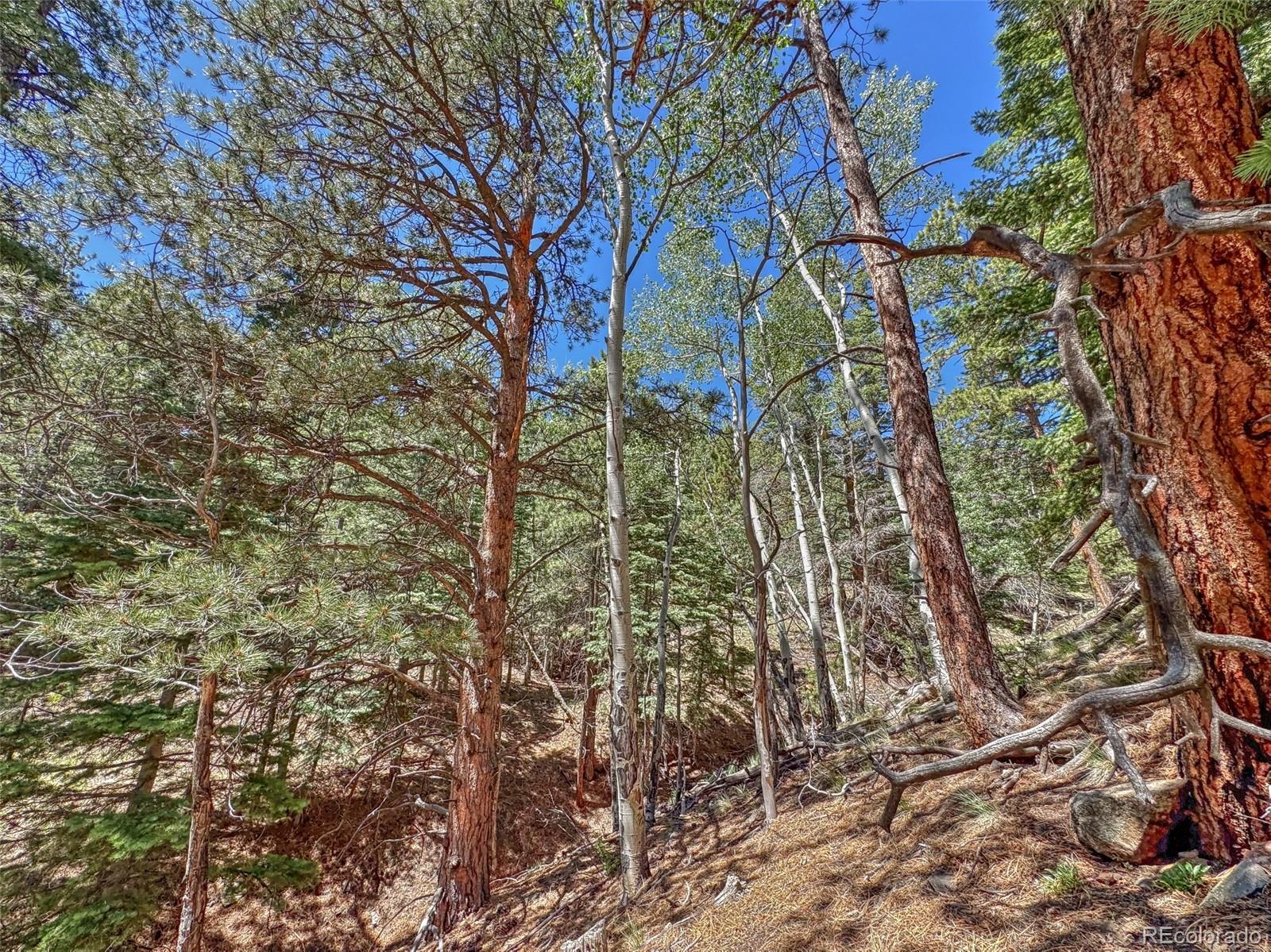 796 N Matterhorn Circle Westcliffe CO 81252