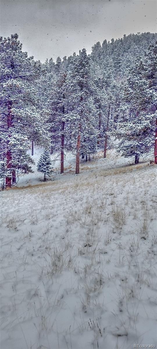 796 N Matterhorn Circle Westcliffe CO 81252