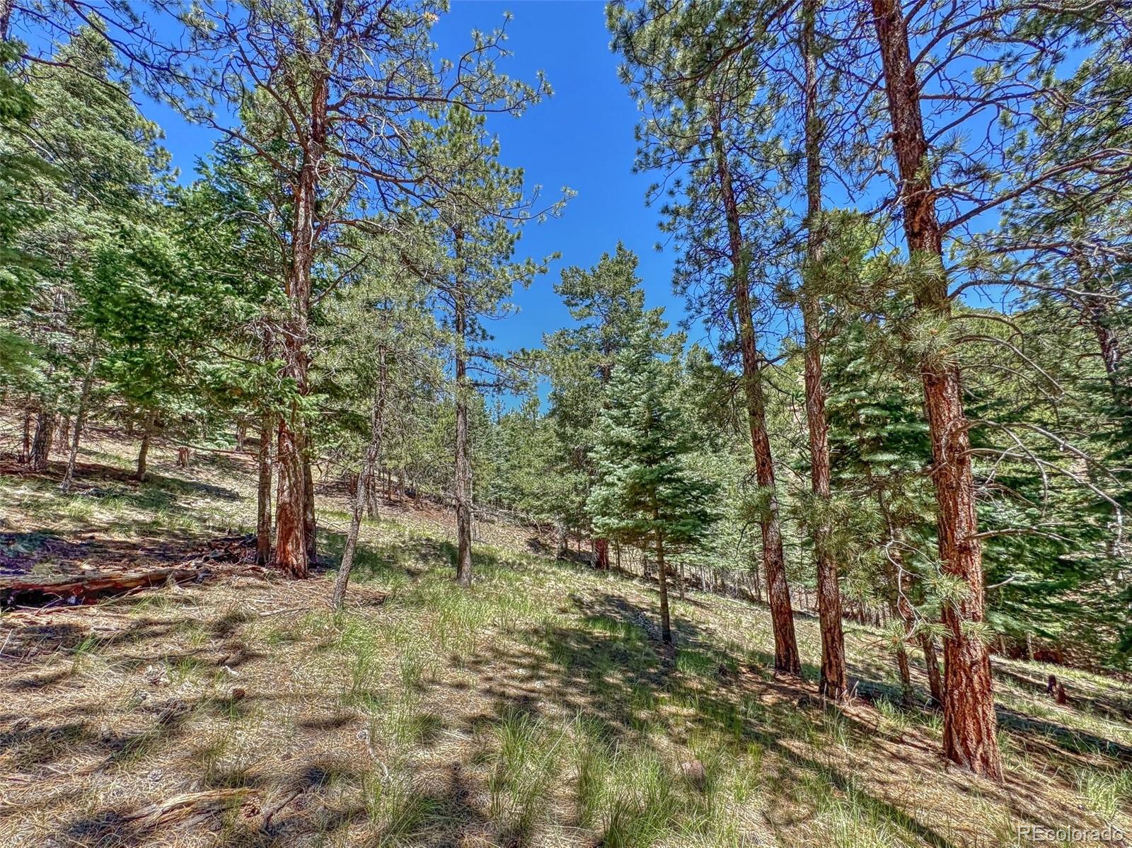 796 N Matterhorn Circle Westcliffe CO 81252