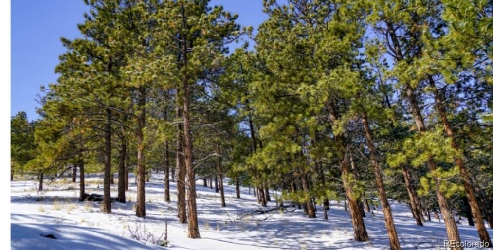 796 N Matterhorn Circle Westcliffe CO 81252