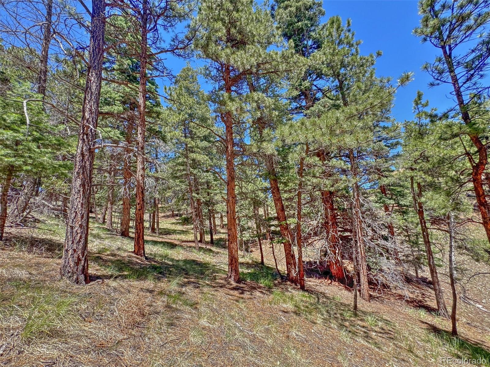 796 N Matterhorn Circle Westcliffe CO 81252