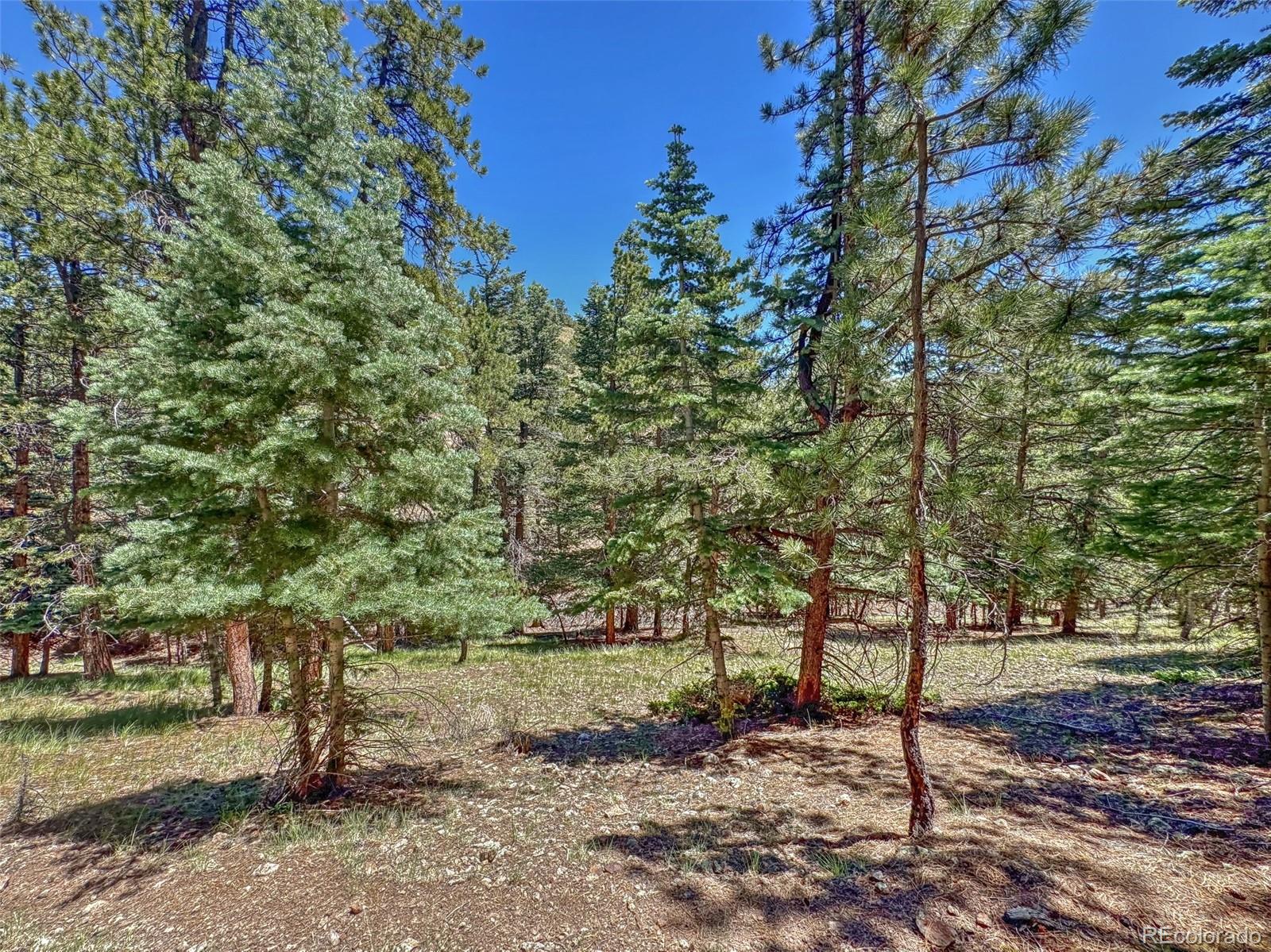 796 N Matterhorn Circle Westcliffe CO 81252