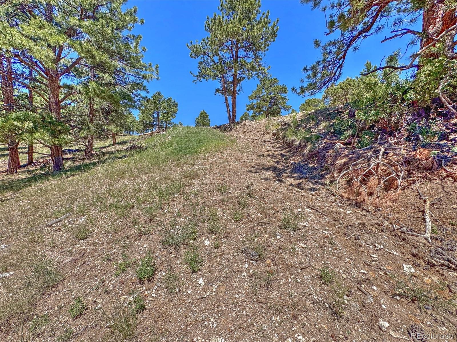 796 N Matterhorn Circle Westcliffe CO 81252