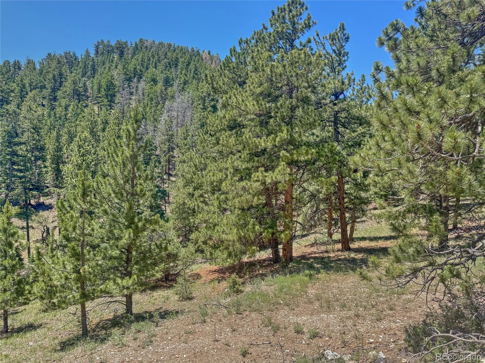 796 N Matterhorn Circle Westcliffe CO 81252