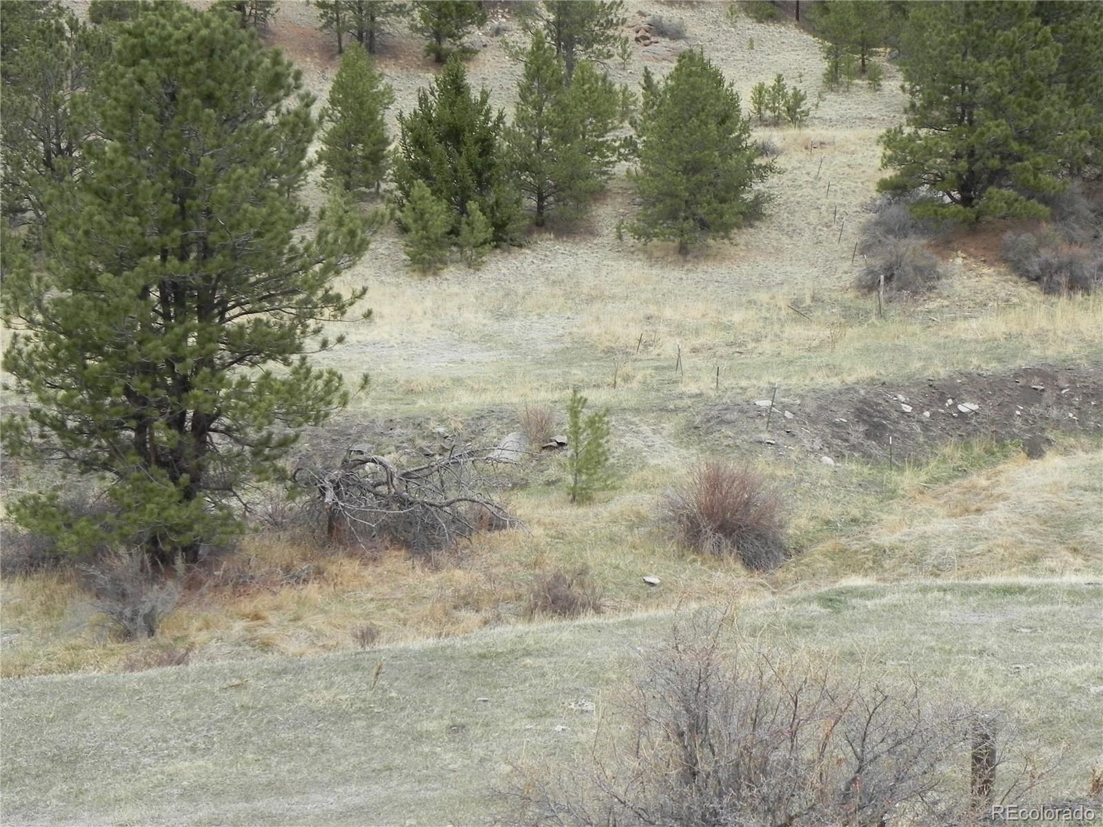 521 Monarch Drive Cripple Creek CO 80813