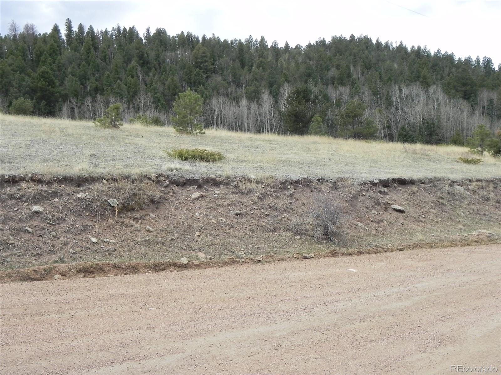 521 Monarch Drive Cripple Creek CO 80813