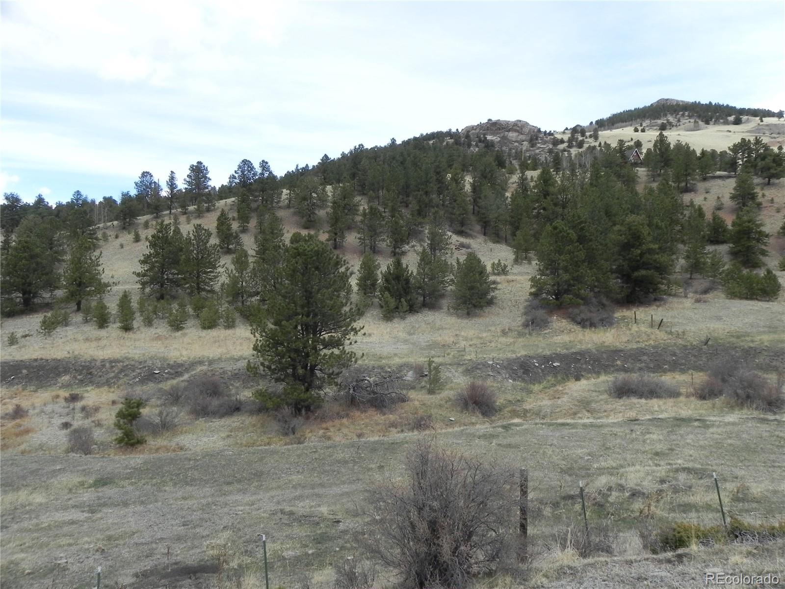 521 Monarch Drive Cripple Creek CO 80813