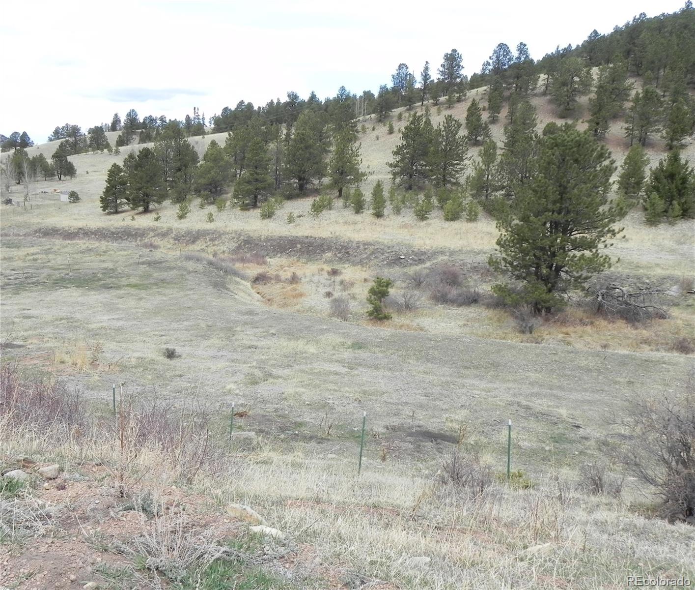 521 Monarch Drive Cripple Creek CO 80813