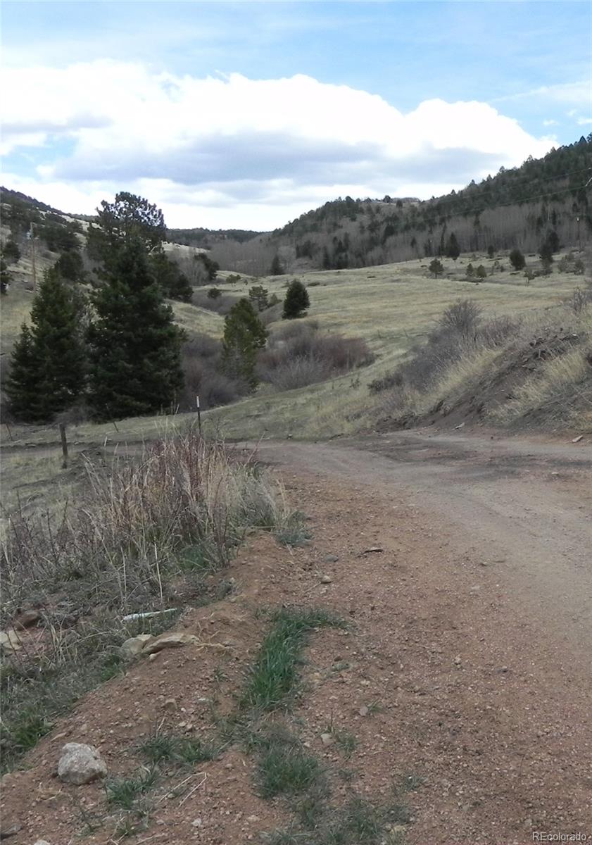 521 Monarch Drive Cripple Creek CO 80813