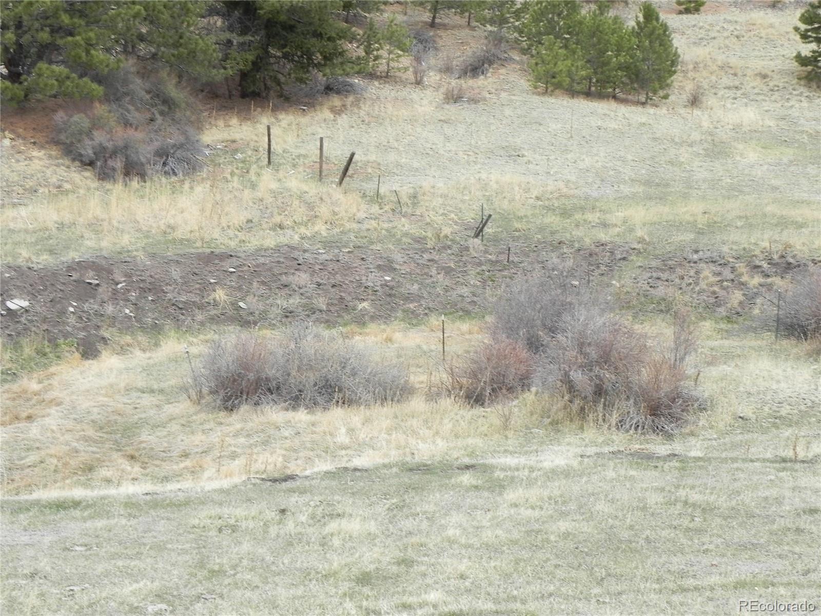 521 Monarch Drive Cripple Creek CO 80813