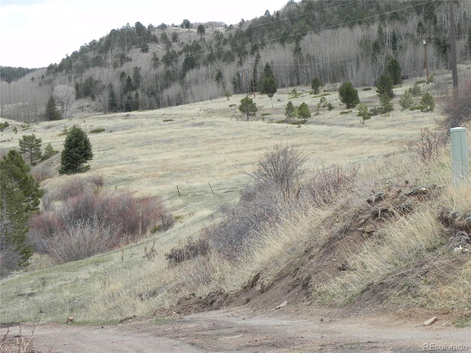 521 Monarch Drive Cripple Creek CO 80813