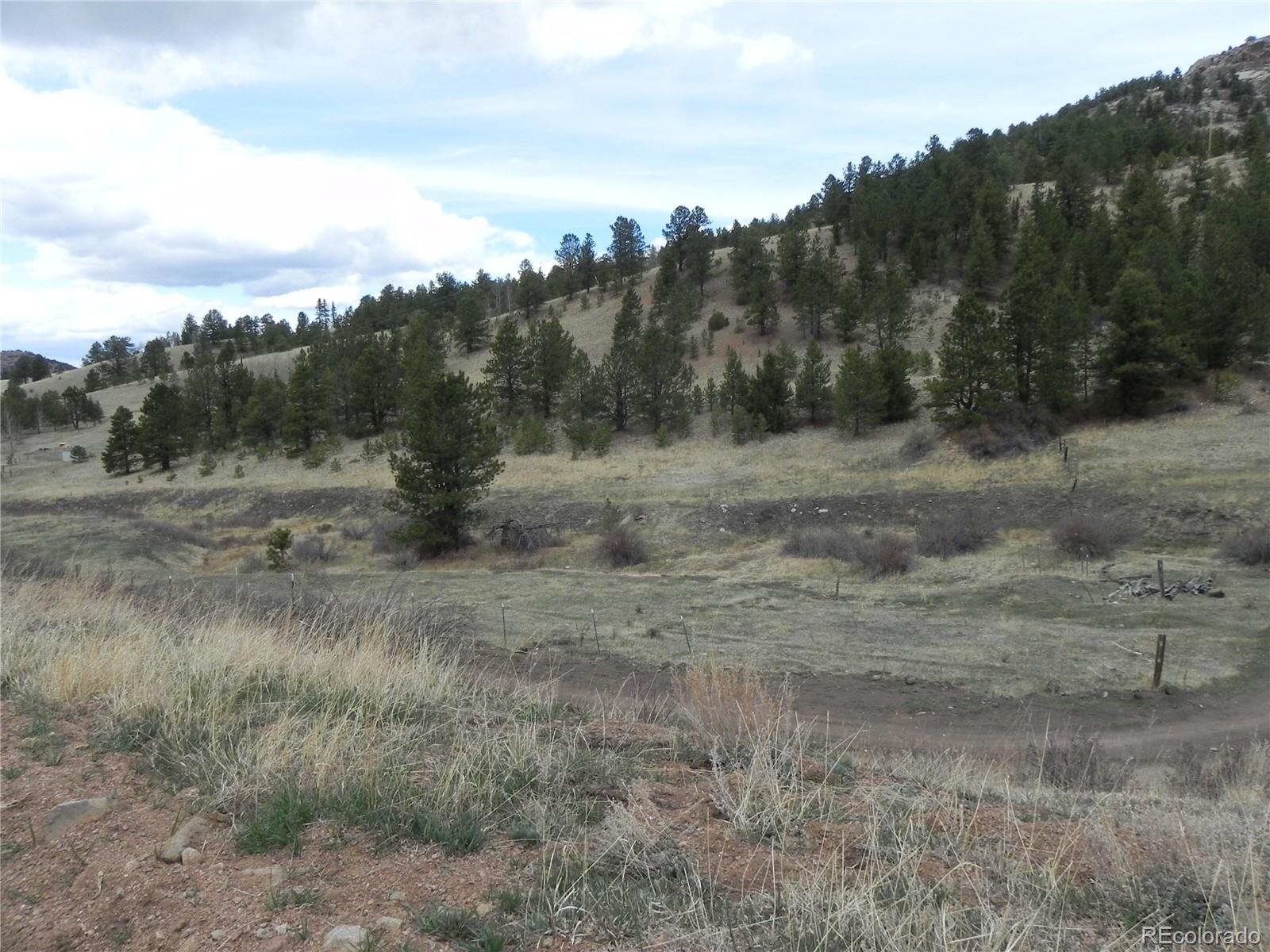521 Monarch Drive Cripple Creek CO 80813