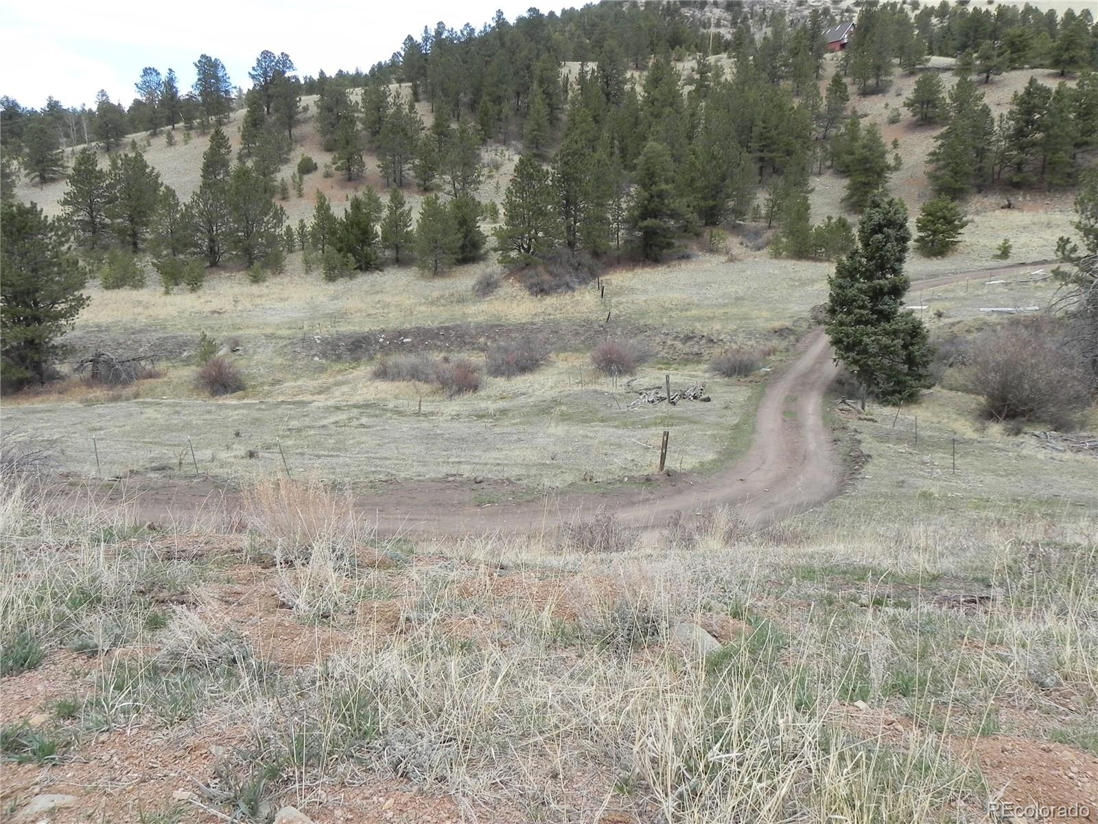 521 Monarch Drive Cripple Creek CO 80813