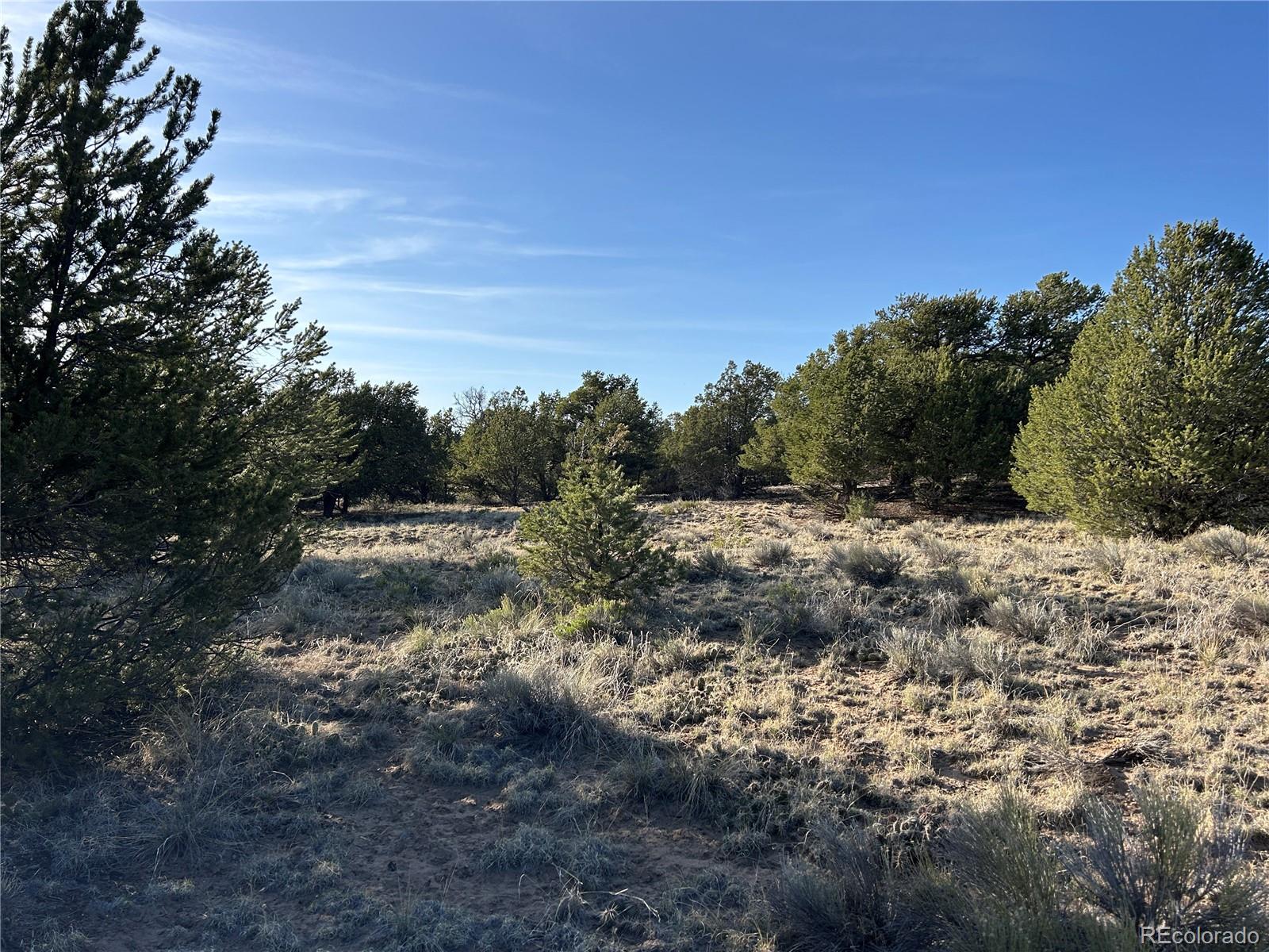 1933 Lone Pine Way Crestone CO 81131