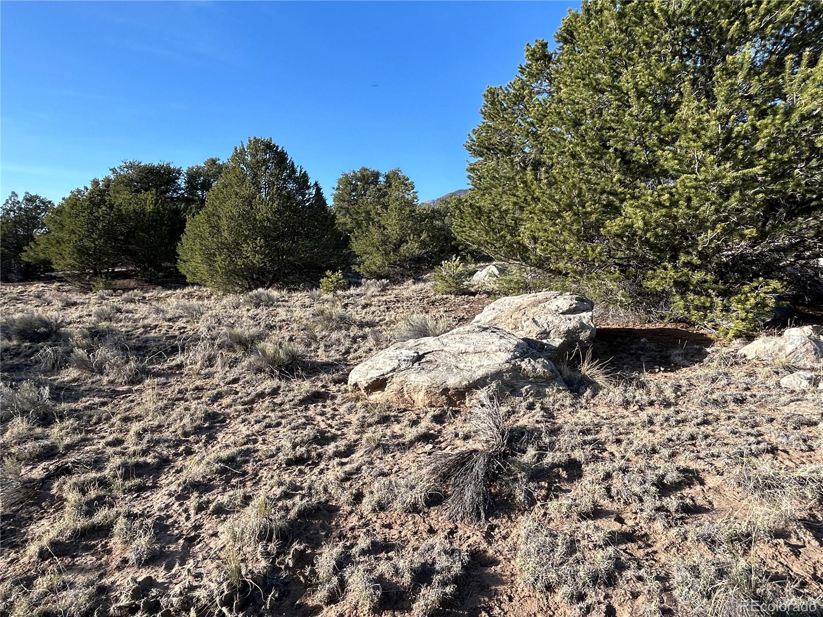 1933 Lone Pine Way Crestone CO 81131