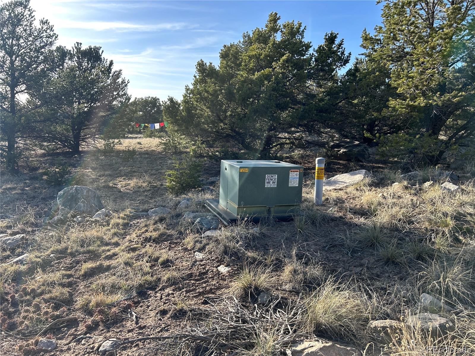 1933 Lone Pine Way Crestone CO 81131