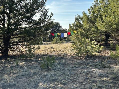 1933 Lone Pine Way Crestone CO 81131