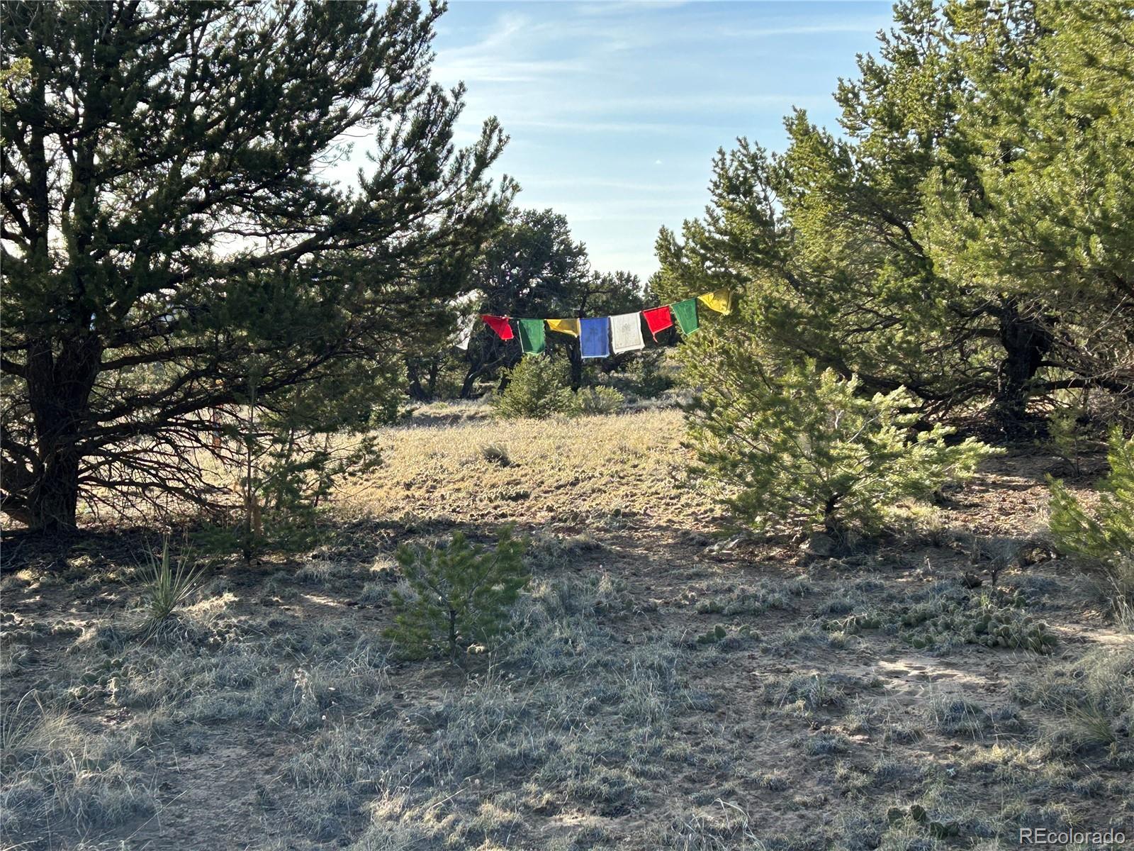 1933 Lone Pine Way Crestone CO 81131