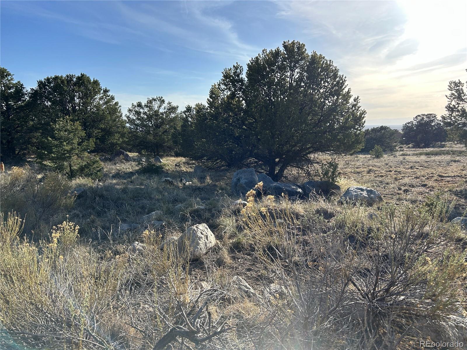 1933 Lone Pine Way Crestone CO 81131