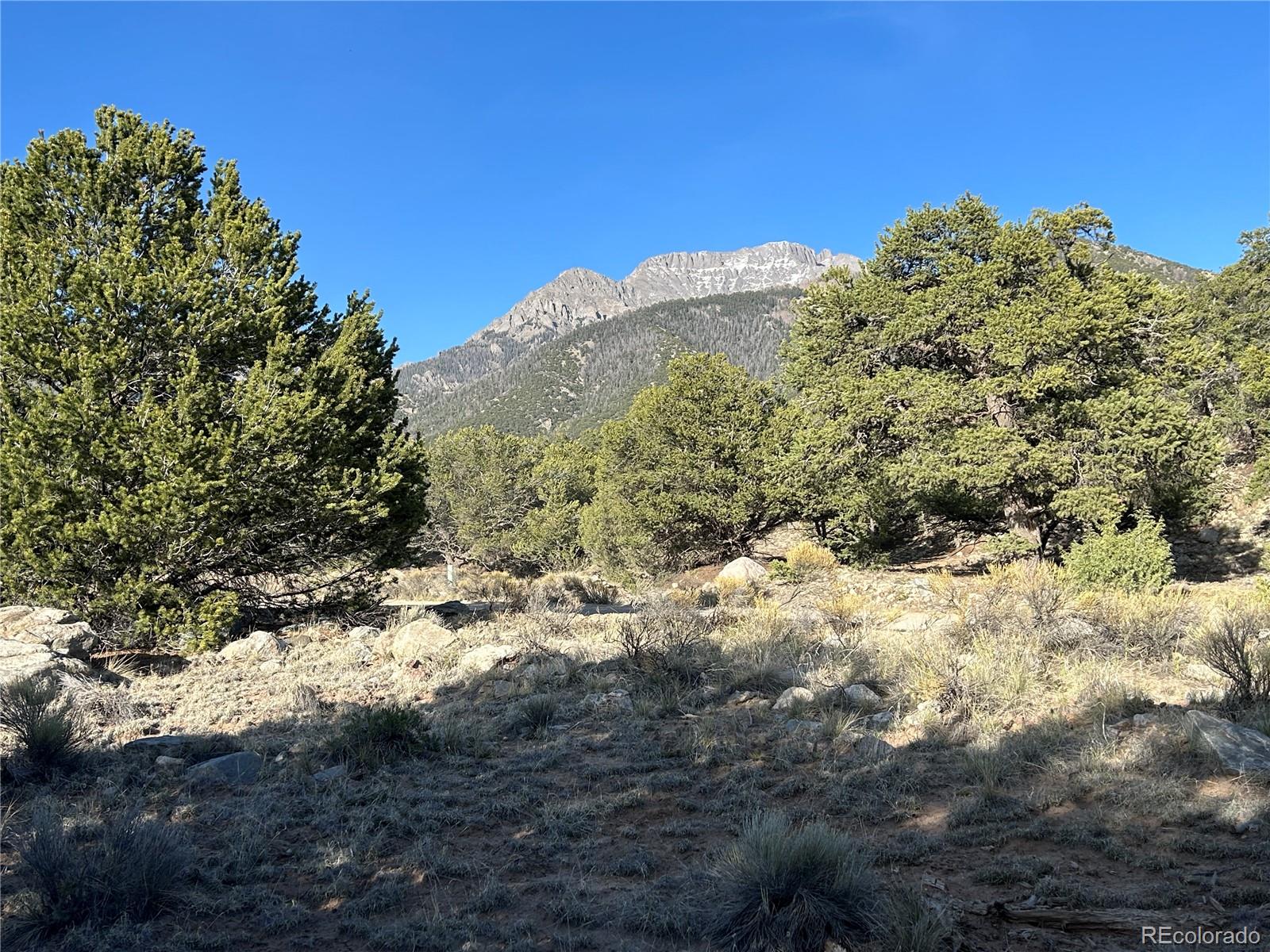1933 Lone Pine Way Crestone CO 81131