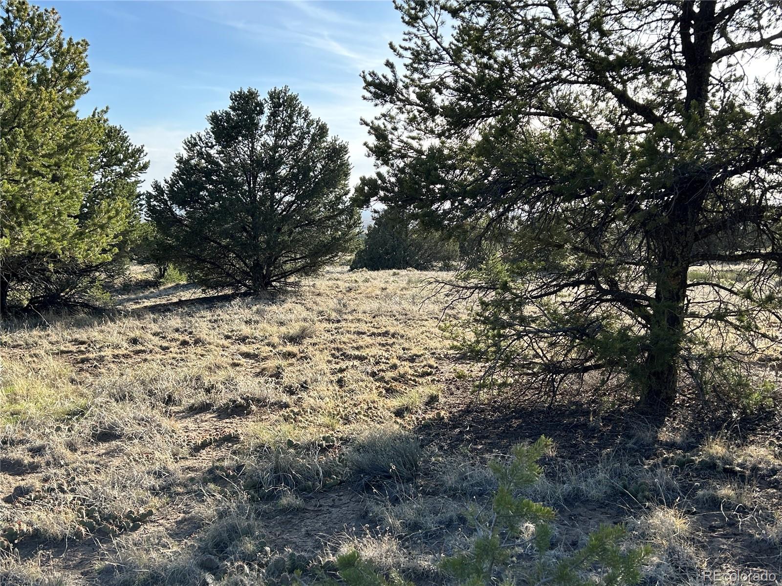 1933 Lone Pine Way Crestone CO 81131