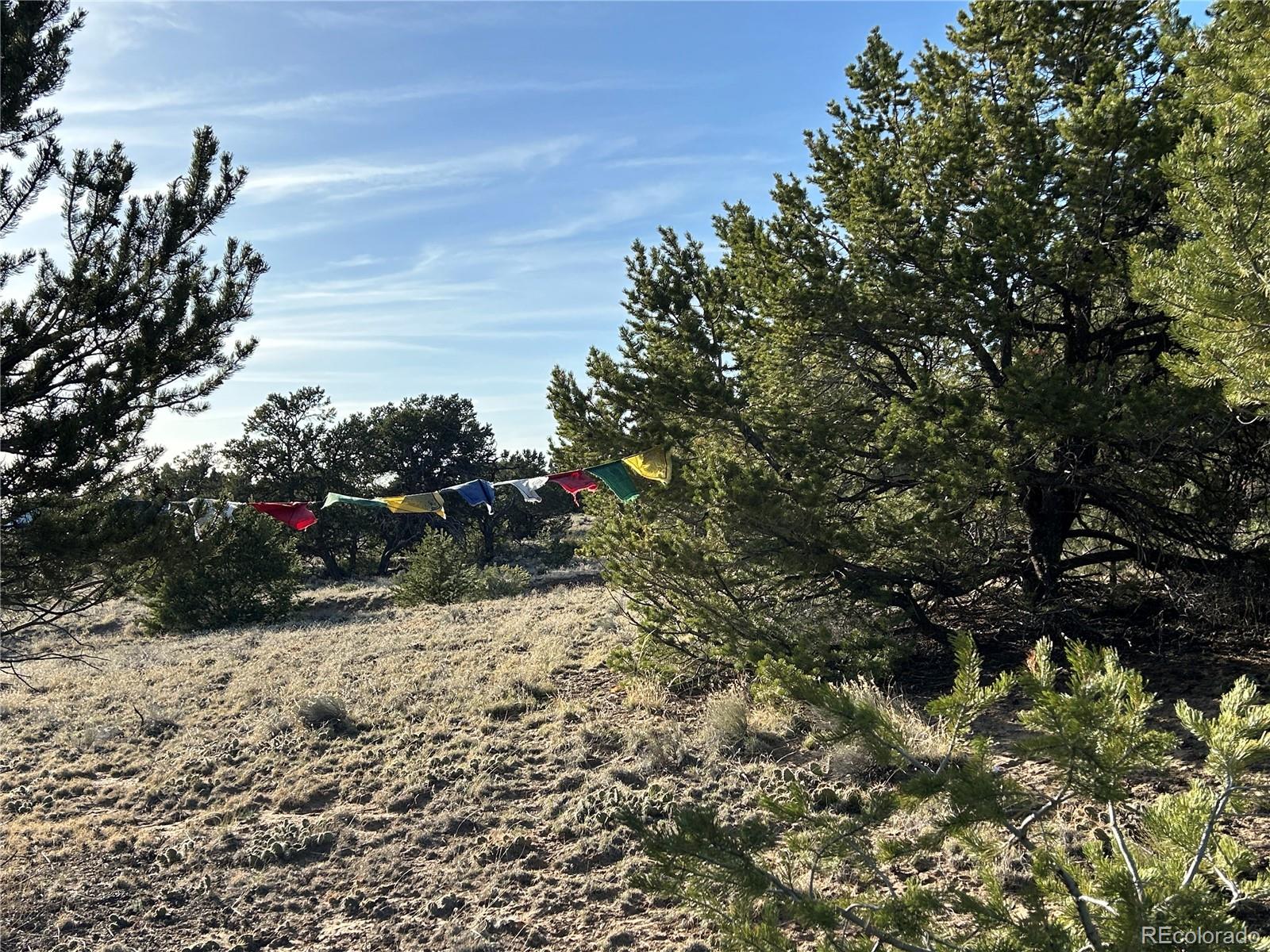 1933 Lone Pine Way Crestone CO 81131