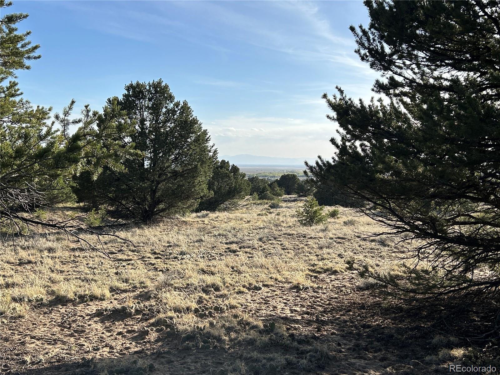 1933 Lone Pine Way Crestone CO 81131