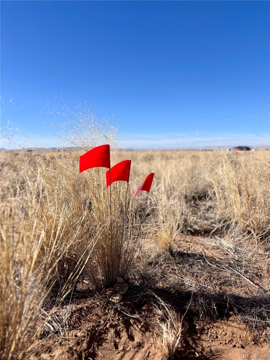 Lot 4 13th Street Blanca CO 81123