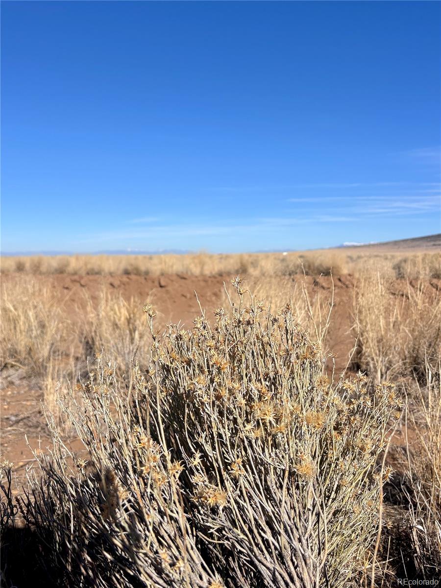 Lot 4 13th Street Blanca CO 81123