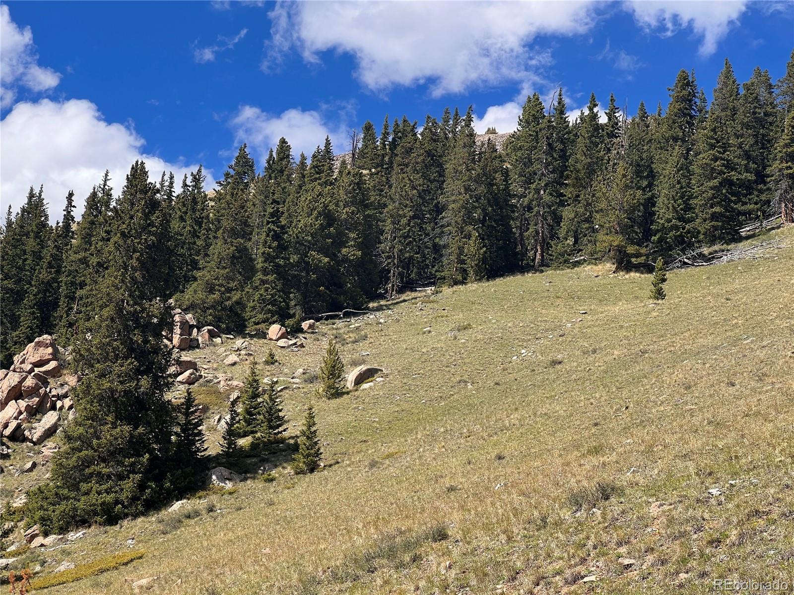 10448 Bank Statement Leadville CO 80461