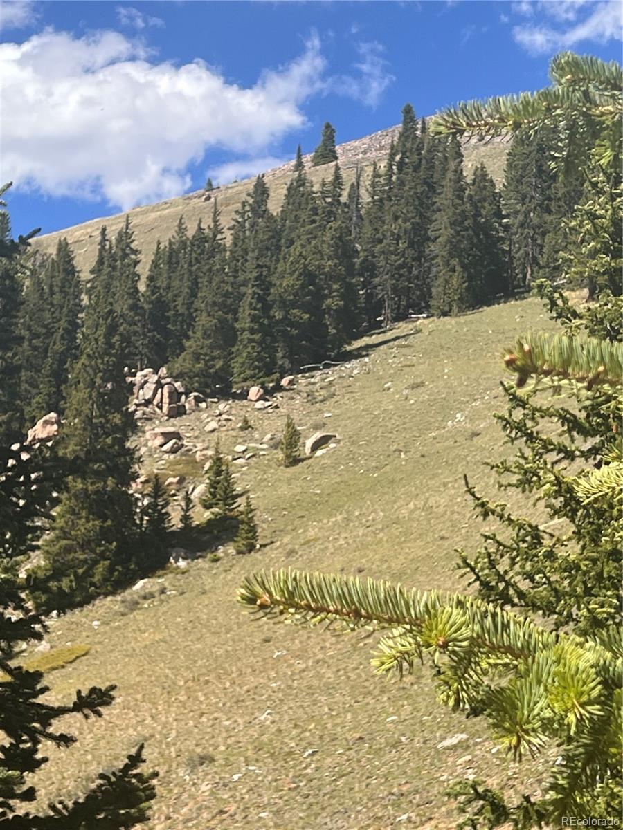 10448 Bank Statement Leadville CO 80461