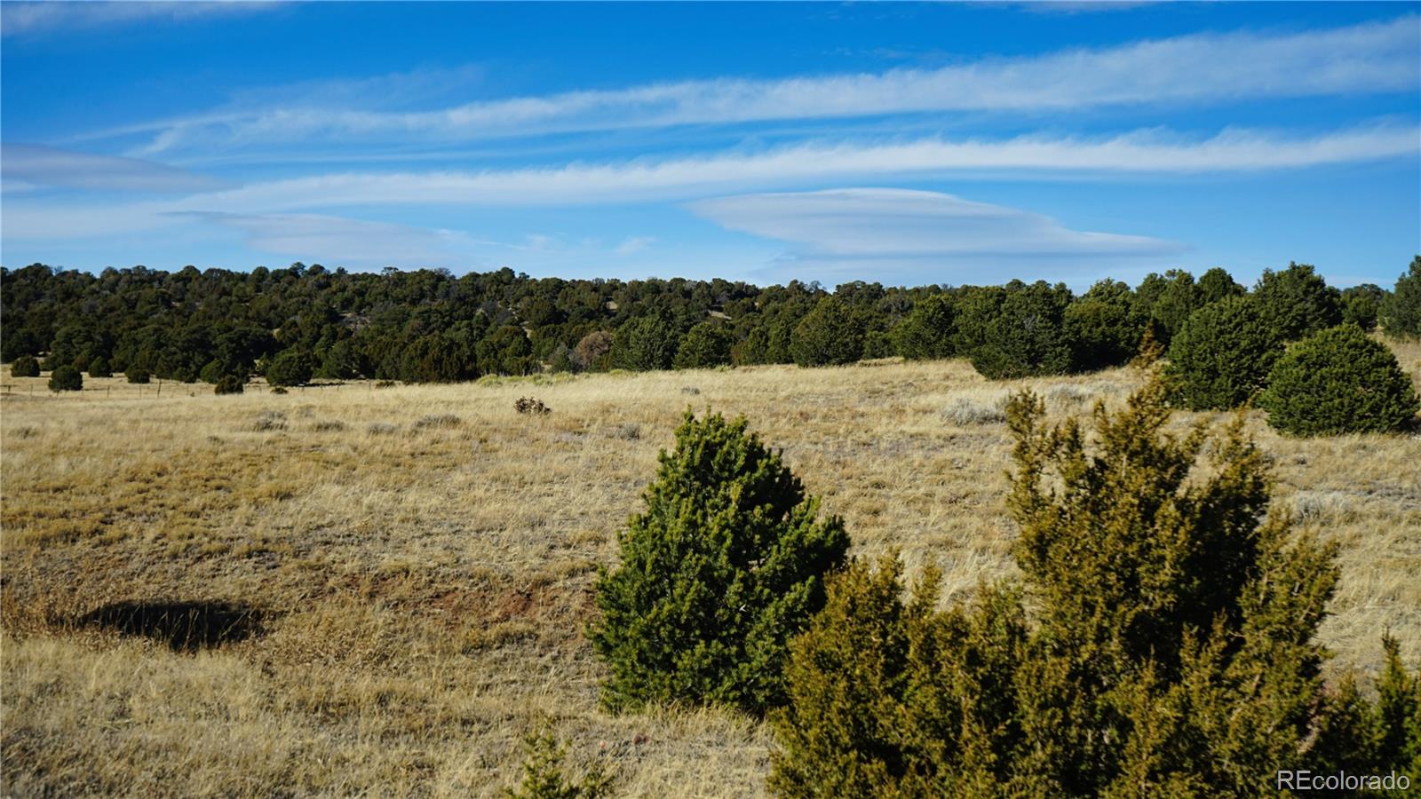 37 Navajo Ranch Resorts #4 Walsenburg CO 81089