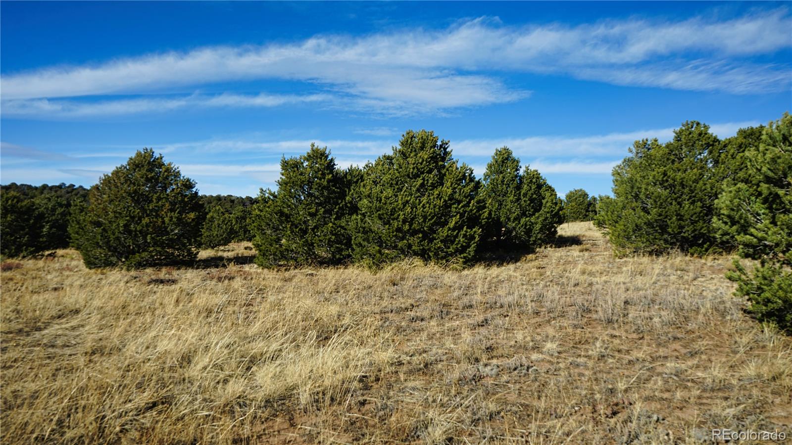 37 Navajo Ranch Resorts #4 Walsenburg CO 81089