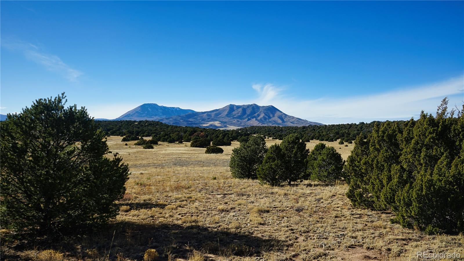 37 Navajo Ranch Resorts #4 Walsenburg CO 81089