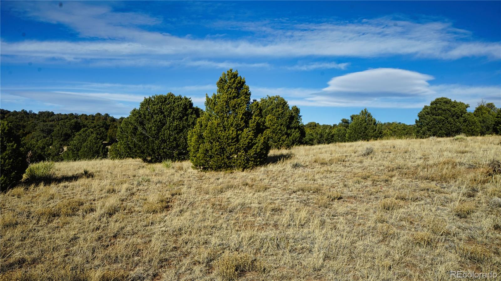 37 Navajo Ranch Resorts #4 Walsenburg CO 81089