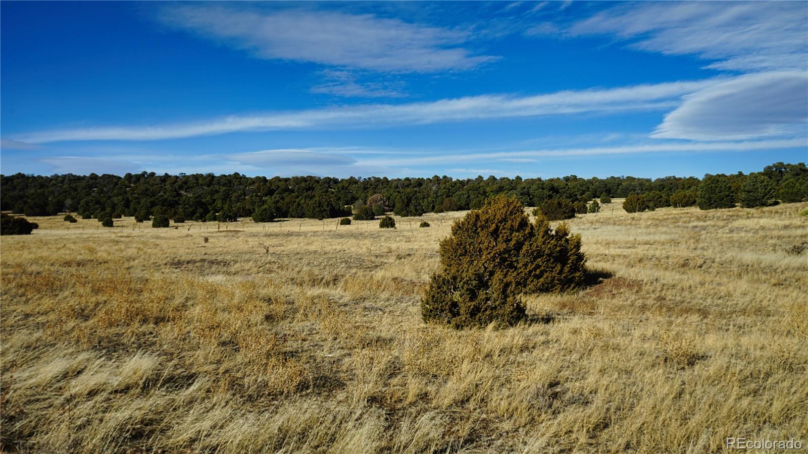 37 Navajo Ranch Resorts #4 Walsenburg CO 81089