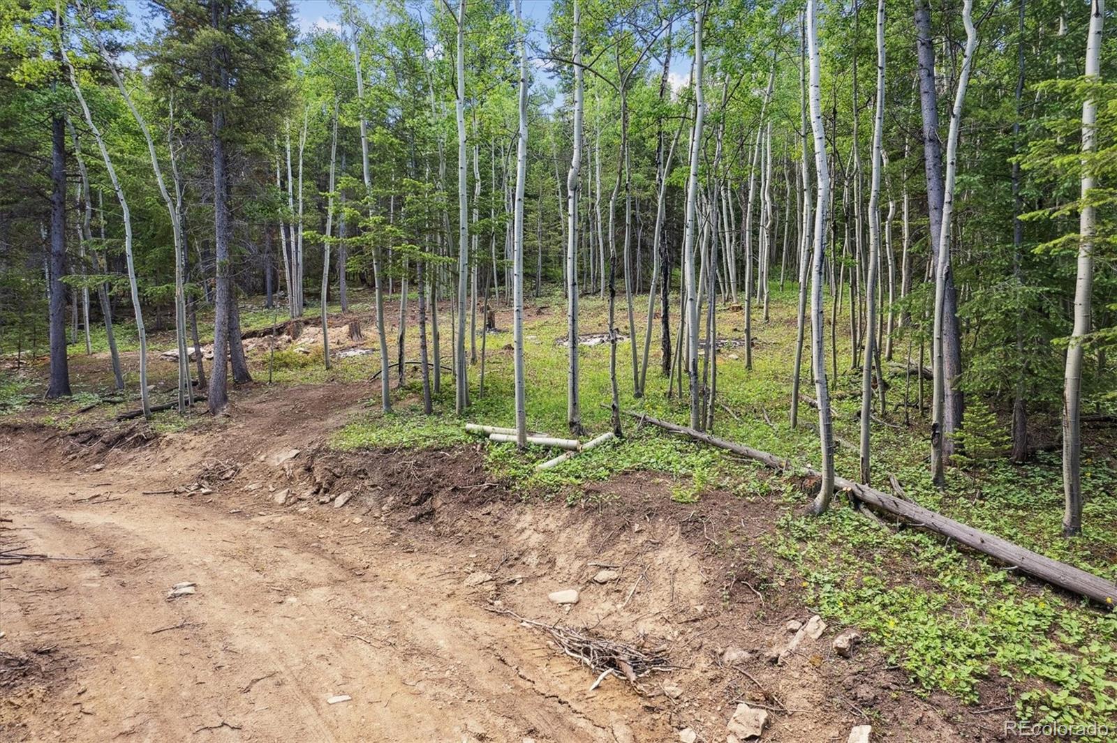 3450 Smith Hill Road Black Hawk CO 80422