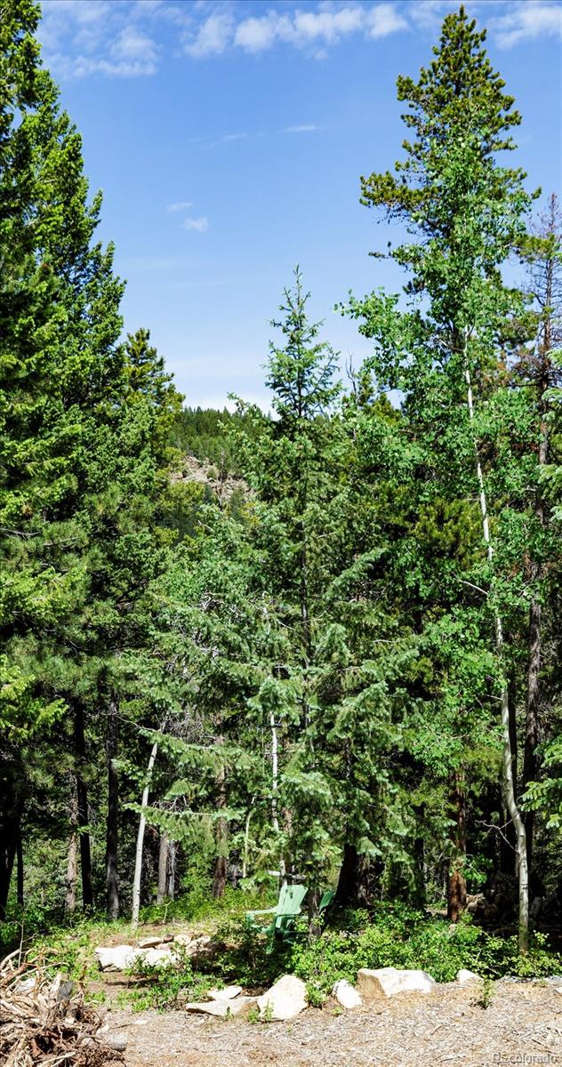 3450 Smith Hill Road Black Hawk CO 80422